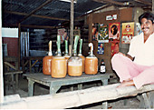 Tuba, coconut palm wine.