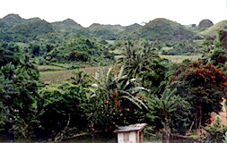 A view from Henry Jayme's home in Sudlon