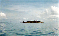 One of the small islands at the top of Bohol.