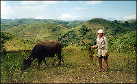 Cebu's Chocolate Hills near Barangay Libo.